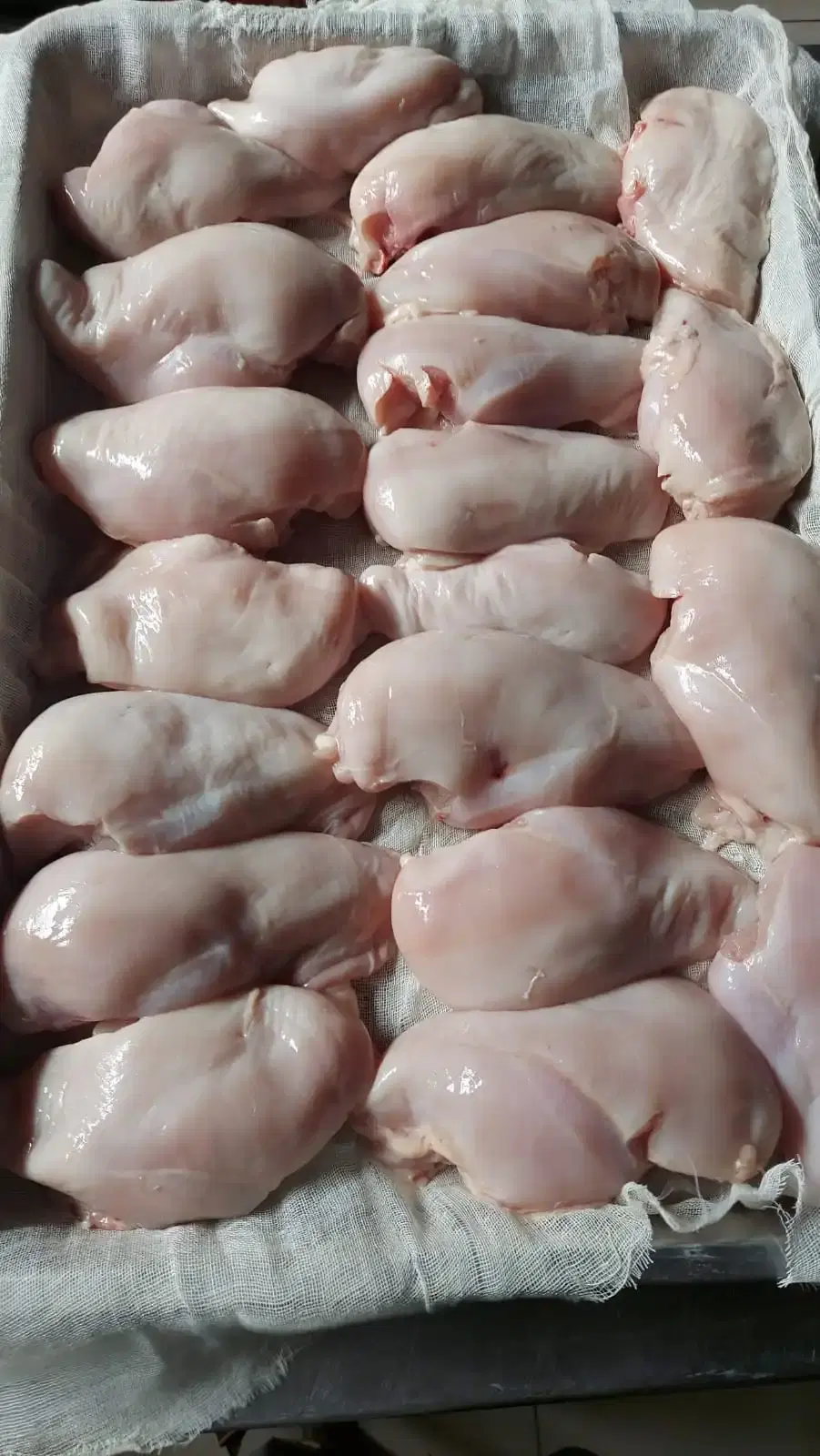 investors network bangladesh